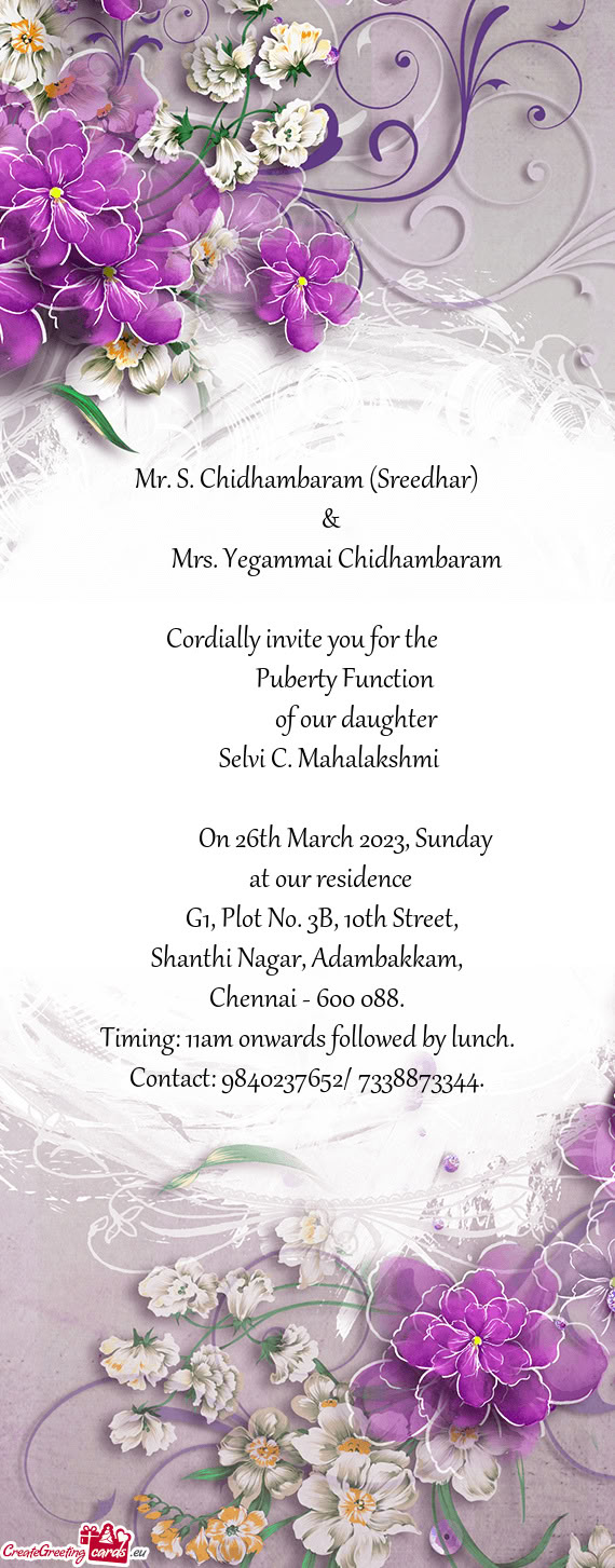 Mr. S. Chidhambaram (Sreedhar)