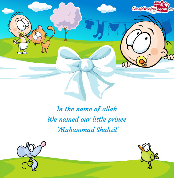 "Muhammad Shahzil"