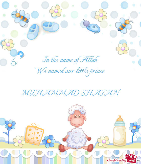 MUHAMMAD SHAYAN🥰