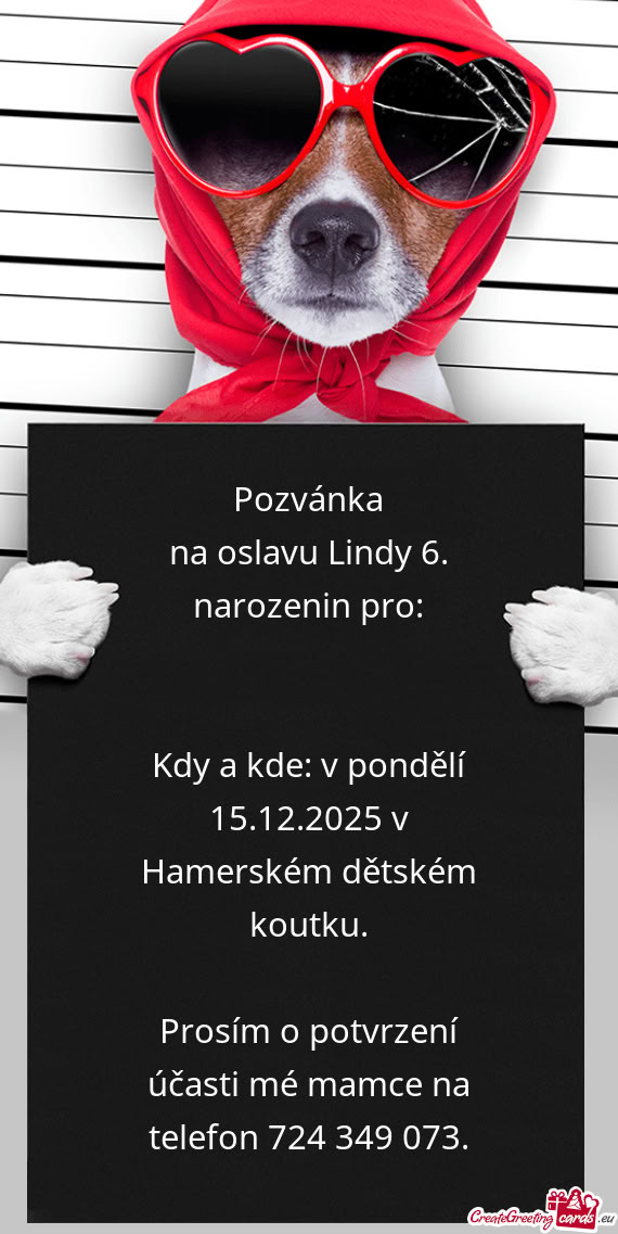 Na oslavu Lindy 6. narozenin pro