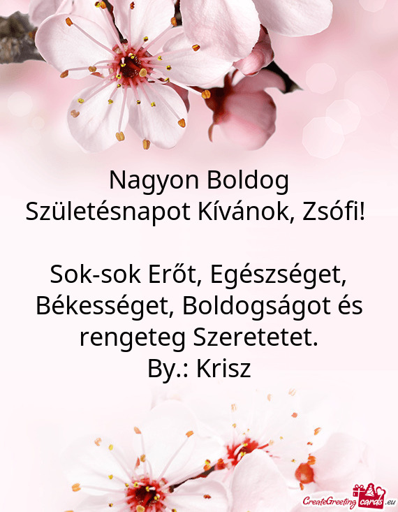 Nagyon Boldog Születésnapot Kívánok, Zsófi