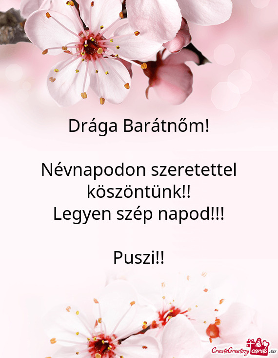 Névnapodon szeretettel köszöntünk