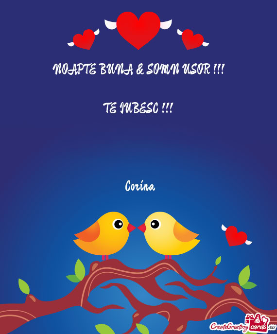 NOAPTE BUNA & SOMN USOR !!!    TE IUBESC !!!         Corina