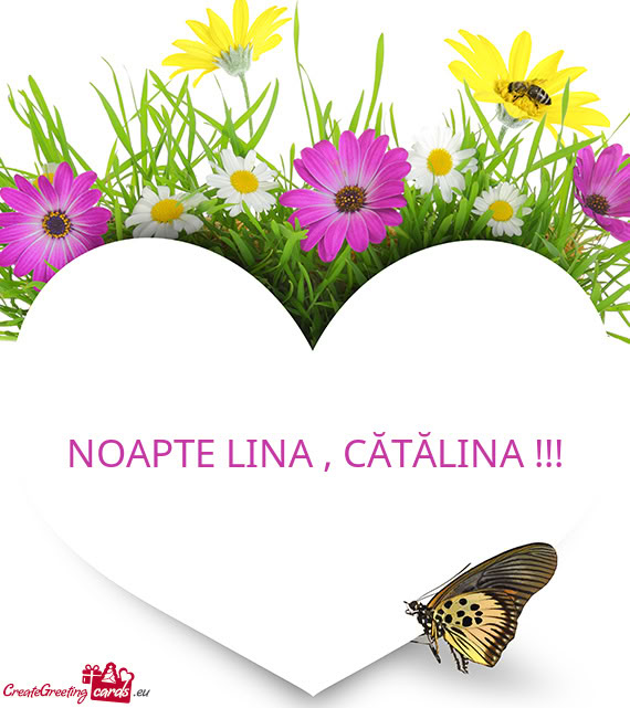 NOAPTE LINA , CĂTĂLINA