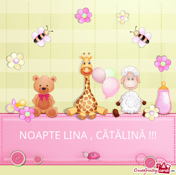 NOAPTE LINA