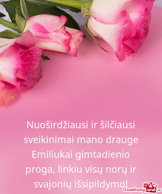 Nuoširdžiausi ir šilčiausi sveikinimai mano drauge Emiliukai gimtadienio proga, linkiu visų nor