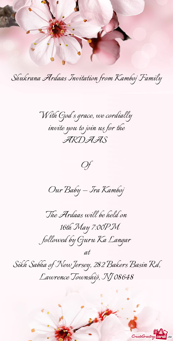 Our Baby — Ira Kamboj