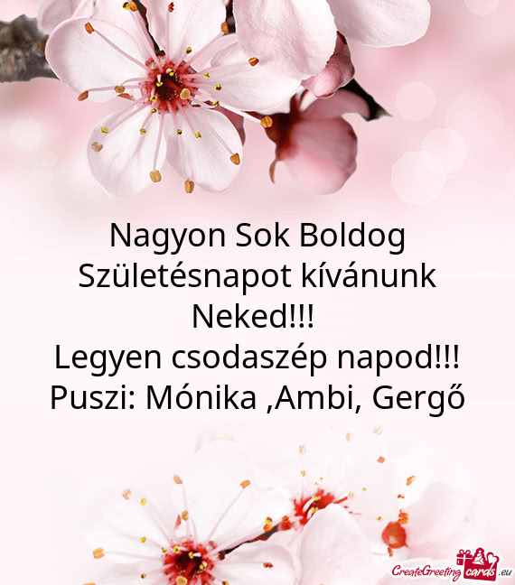 Puszi: Mónika ,Ambi, Gergő