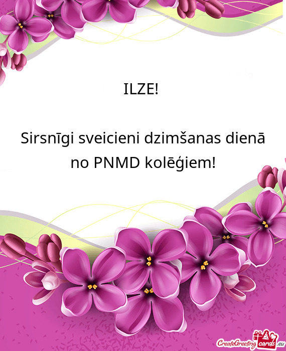 Sirsnīgi sveicieni dzimšanas dienā no PNMD kolēģiem