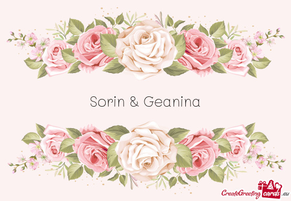 Sorin