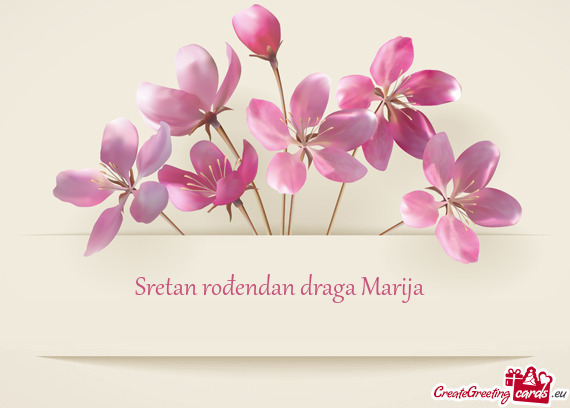 Sretan rođendan draga Marija💗