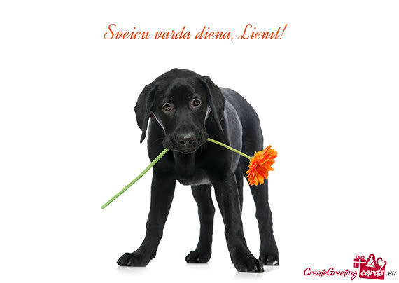 Sveicu vārda dienā, Lienīt! 😘