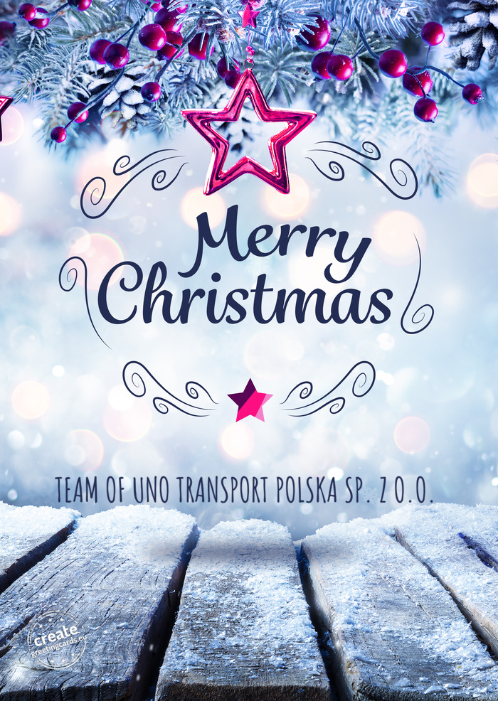 TEAM OF UNO TRANSPORT POLSKA SP. Z O.O