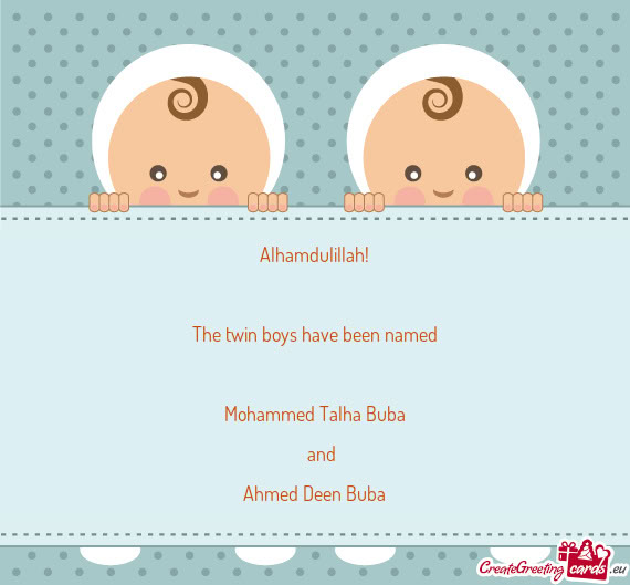 The twin boys have been named