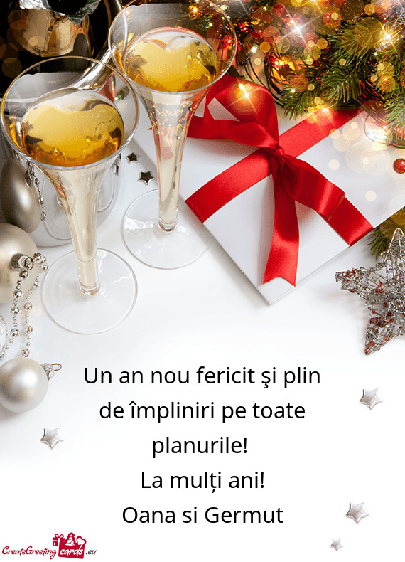 Un an nou fericit şi plin de împliniri pe toate planurile