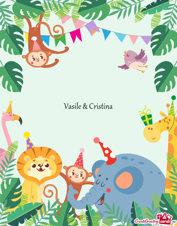 Vasile & Cristina