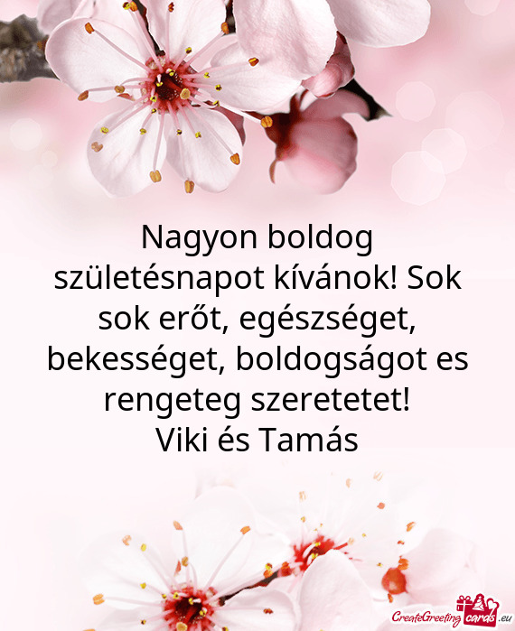 Viki és Tamás