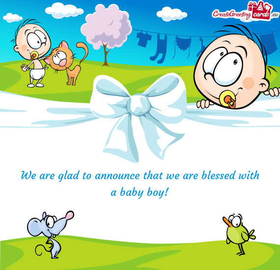 We are glad to announce that we are blessed with a baby