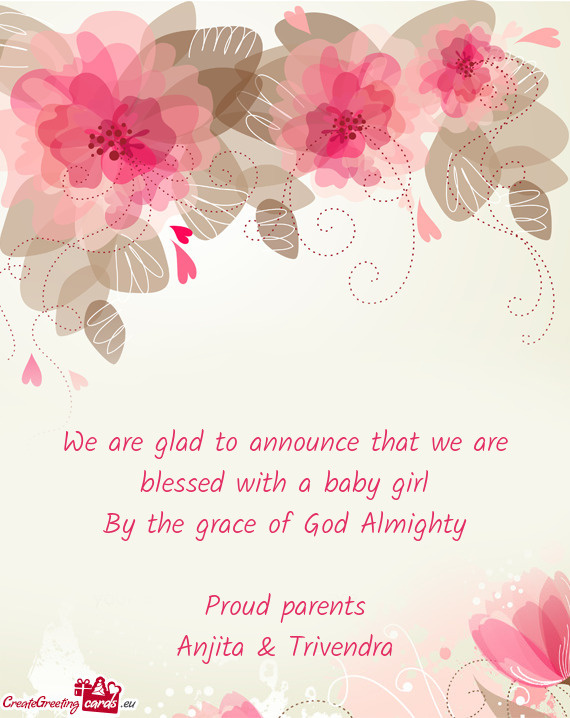 We are glad to announce that we are blessed with a baby