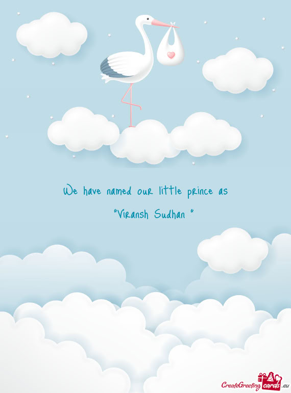 We have named our little prince as  “Viransh Sudhan “