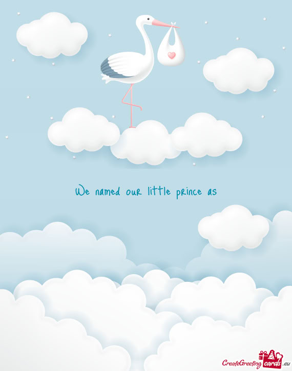 We named our little prince as