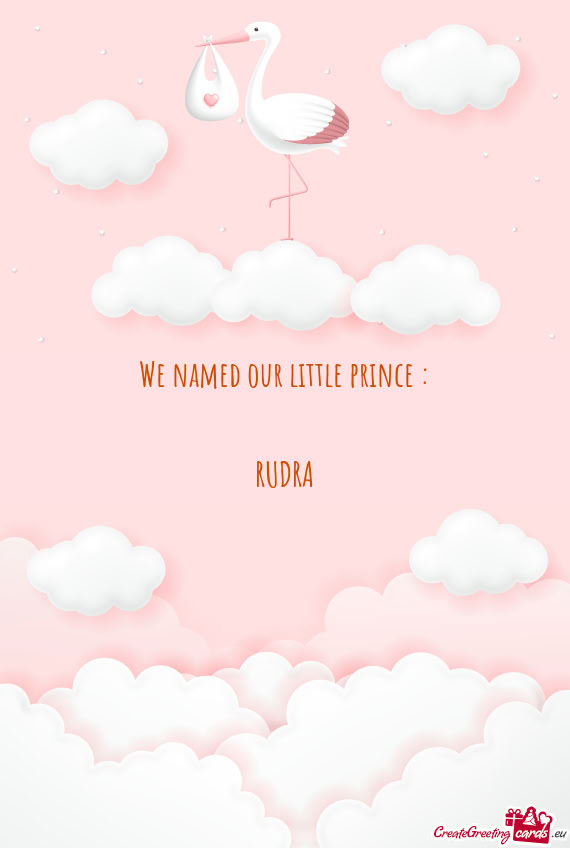 We named our little prince :    RUDRA