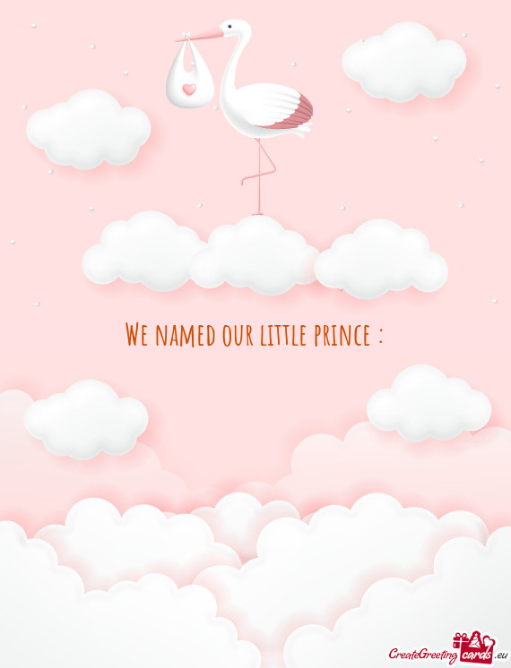 We named our little prince :