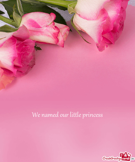 We named our little princess