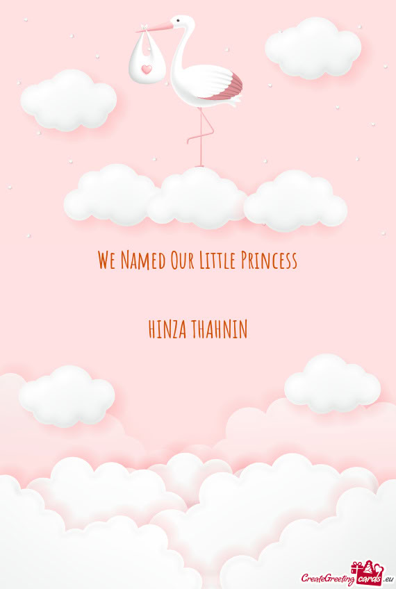 We Named Our Little Princess HINZA THAHNIN