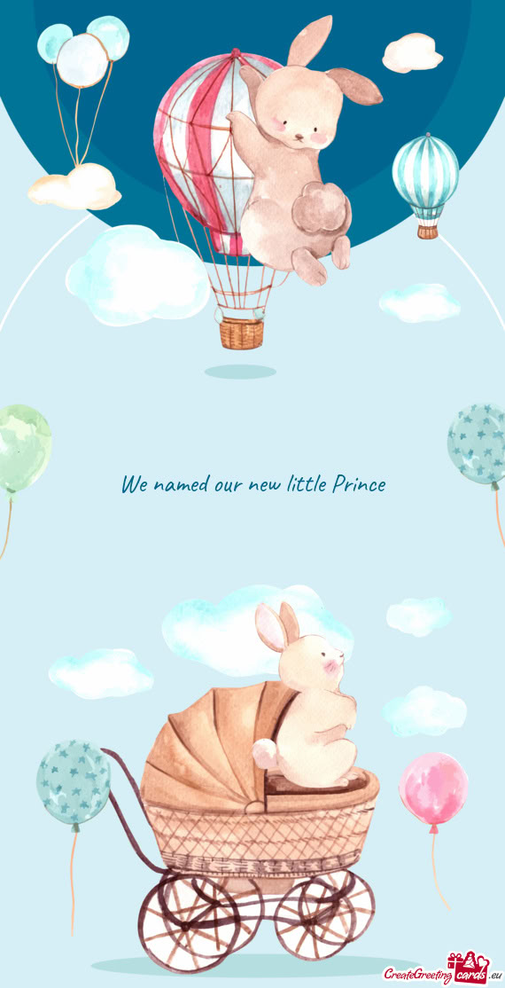 We named our new little Prince