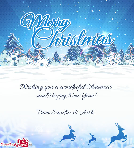 Wishing you a wonderful Christmas and Happy New Year!  From Sandra & Arsh 🎄