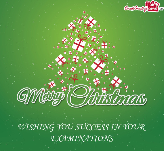 WISHING YOU SUCCESS IN YOUR EXAMINATIONS