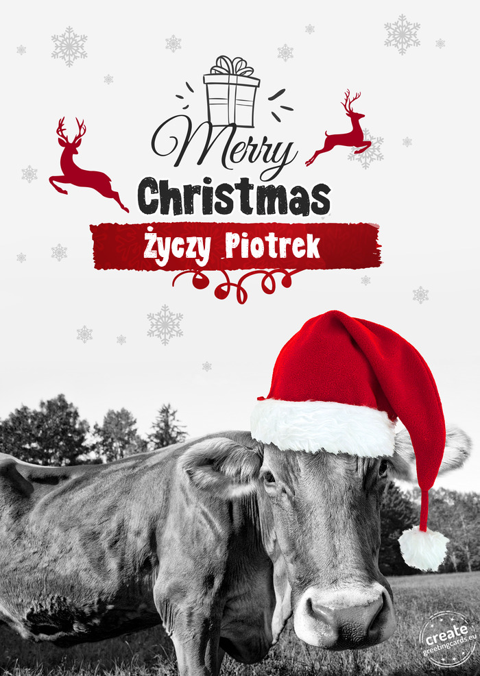 Życzy Piotrek